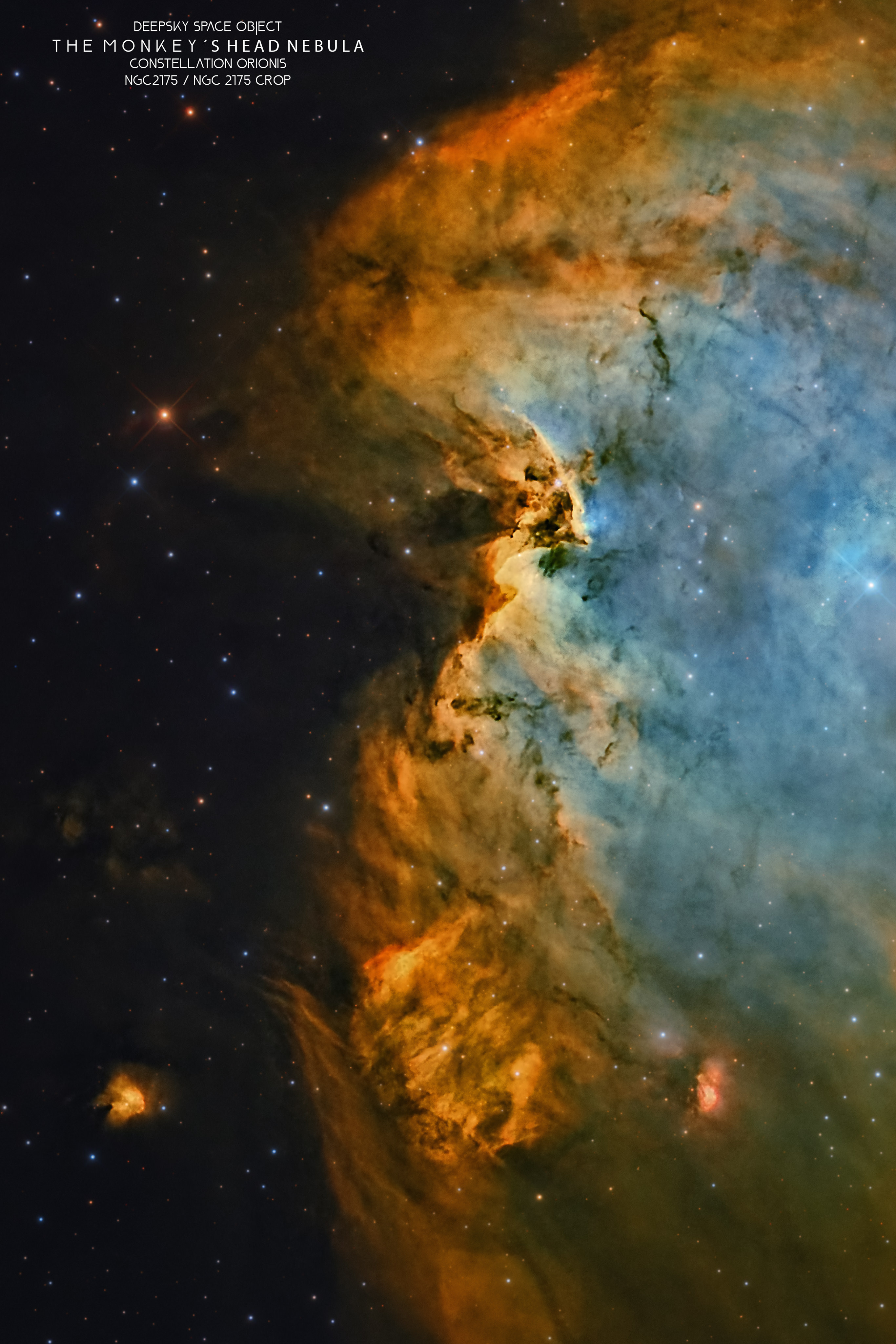 MonkeyheadNebula NGC2174 RGBSHO RemoteTelescope 1665mm Crop2 web4096